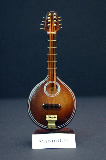 15. Mandolin